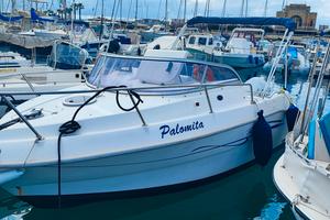 Italmar Fishing 500 con Suzuki DF40/60
