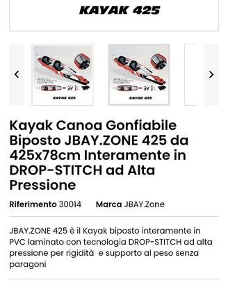 Kayak