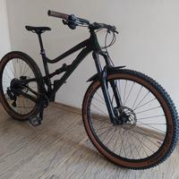 Dartmoor bluebird 29