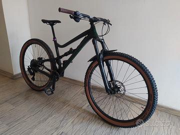 Dartmoor bluebird 29