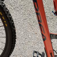 Horbea hoccam h30 2021