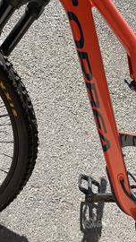 Horbea hoccam h30 2021