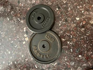 Pesi domyos home gym