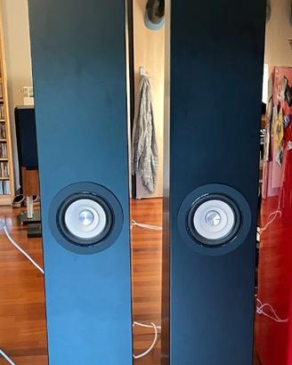 Diffusori monovia largabanda Tang Band W6