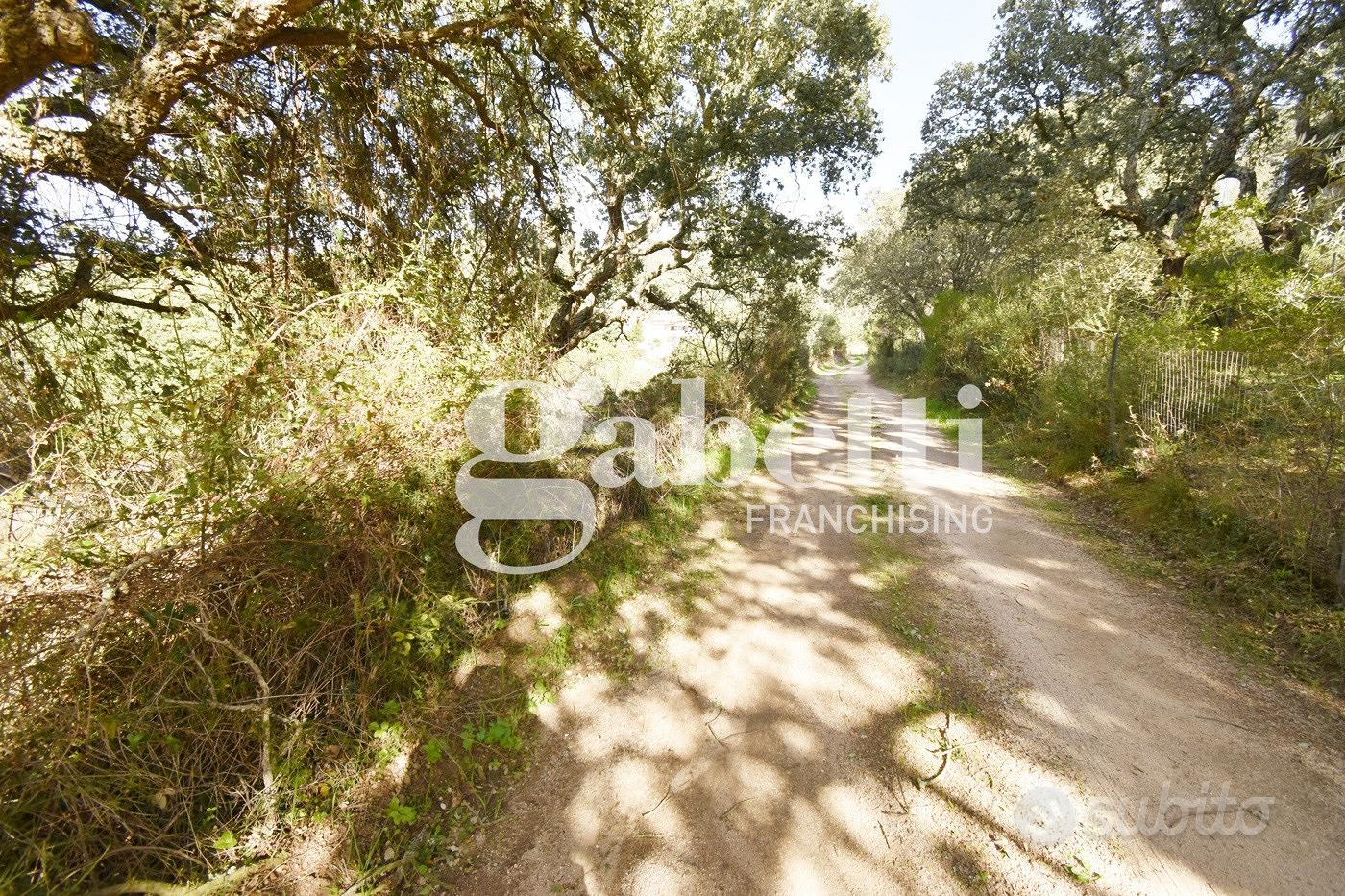 Terreno Agricolo Santa Teresa Gallura - Vista 2