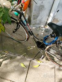 Bicicletta Wolsit 