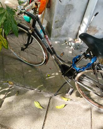 Bicicletta Wolsit 
