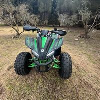 Quad 125 cc elaborato