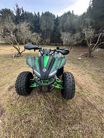 Quad 125 cc elaborato