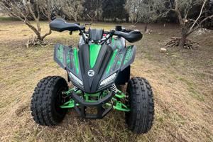 Quad 125 cc elaborato