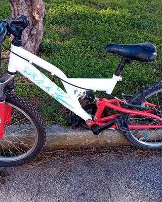 Bicicletta bambino da 20