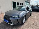 lexus-ux-ux-250-hybrid-business