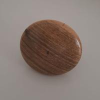 Pomolo per porta d'ingresso o portone 