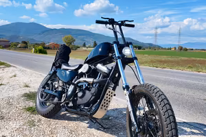 Harley-Davidson Sportster Forty-Eight 