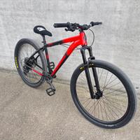 Collective bike