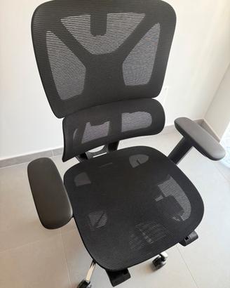 sedia ufficio ergonomica Flexispot ergoX