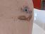 Immagine 2