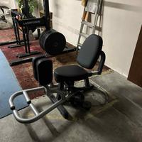 Macchina Adduzioni/Abduzioni Professionale Palestr