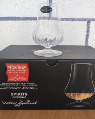 Set 6 calici Bormioli Mixology Spirits