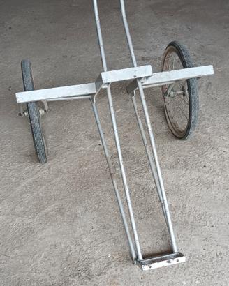 bicicletta carrello