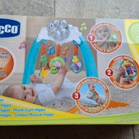 Palestra musicale Hippo