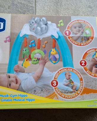 Palestra musicale Hippo