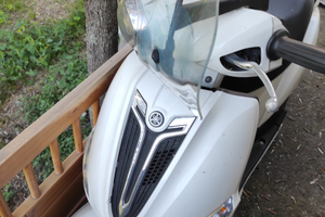 Yamaha delight smembro