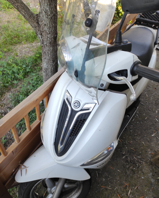 Yamaha delight smembro