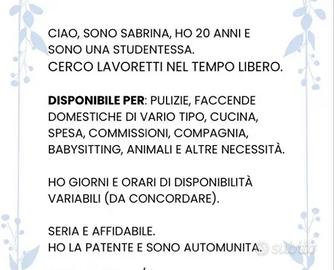 Aiuto domestico/ altro