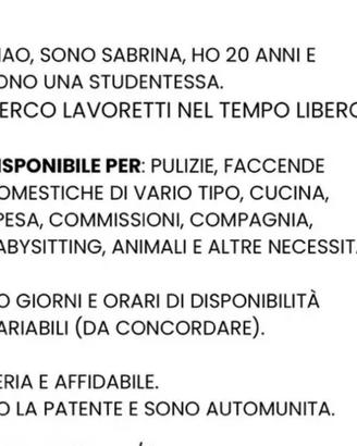 Aiuto domestico/ altro