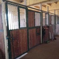 box per cavalli