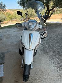 Beverly 300