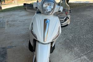 Beverly 300