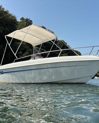 ARKOS 587 Special - Motore SUZUKI 40/60 CV