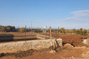 TER. AGRICOLO A POLIGNANO A MARE