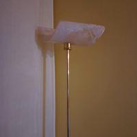 PIANTANA CON GAMBO OTTONE MURRINA ORIGINALE