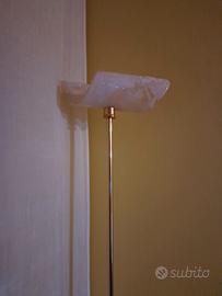 PIANTANA CON GAMBO OTTONE MURRINA ORIGINALE