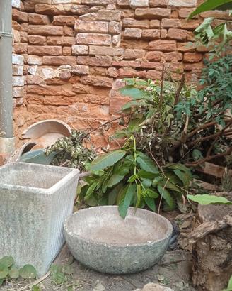 2 vasi in cemento graniglia
