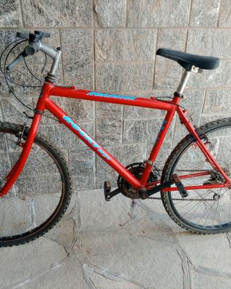 Bicicletta