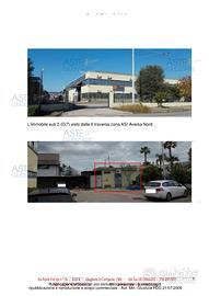 Capannone NN 38/2018