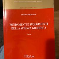 Libro università giurisprudenza primo anno