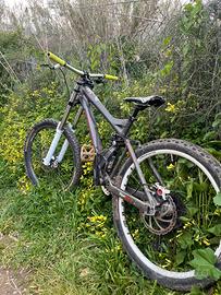 Bicicletta da DOWNHILL