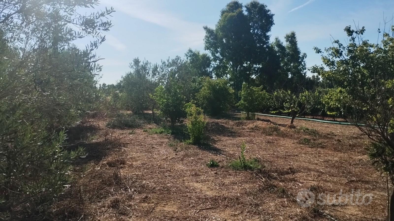 Terreno agricolo con rustico - Altro