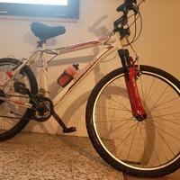 bicicletta lombardo 26