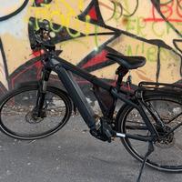 bici elettrica Riese&Muller