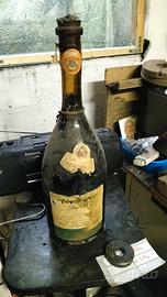 Magnum Barolo del 1981