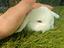 Immagine 1