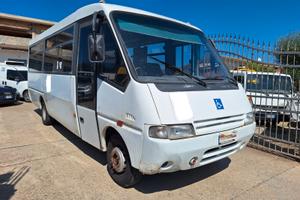 Iveco Cacciamali 2.8 Td Bus 22 Posti + Disabile