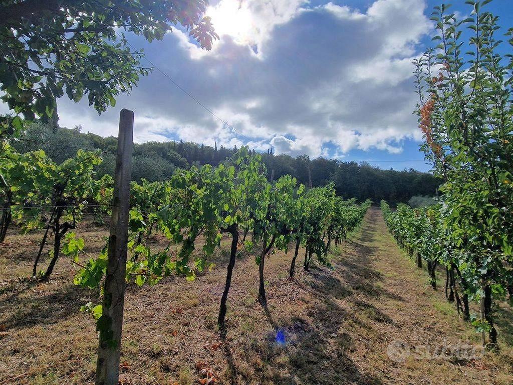 Casa – Passignano sul Trasimeno, Perugia - Vista 5