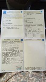Camper mansardato 6 posti